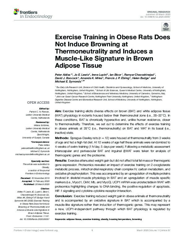 Exercise Training in Obese Rats Does Not Induce Browning at Thermoneutrality and Induces a Muscle-Like Signature in Brown Adipose Tissue Thumbnail