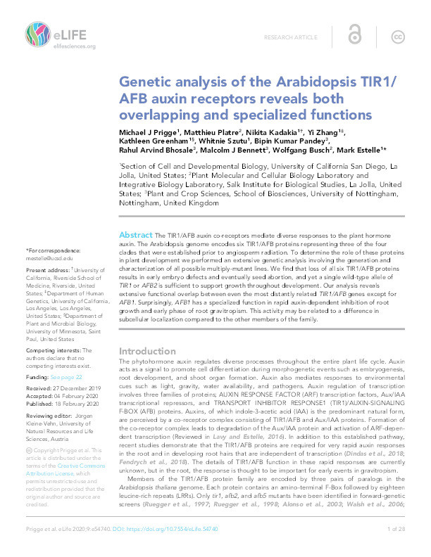 Genetic analysis of the Arabidopsis TIR1/AFB auxin receptors reveals both overlapping and specialized functions Thumbnail
