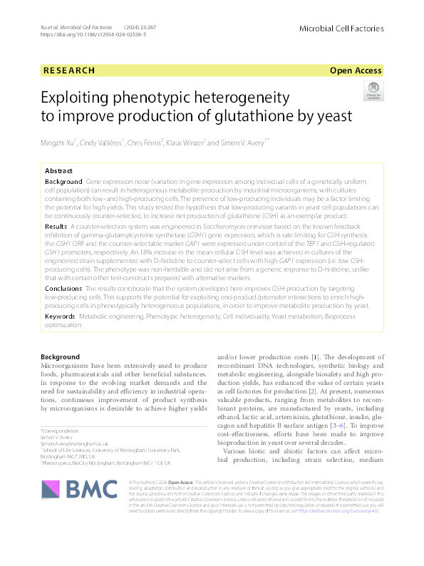 Exploiting phenotypic heterogeneity to improve production of glutathione by yeast Thumbnail