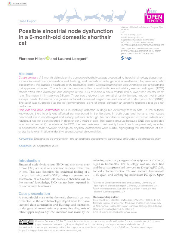 Possible sinoatrial node dysfunction in a 6-month-old domestic shorthair cat Thumbnail