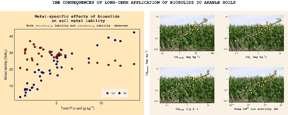 The impact of long-term biosolids application (&gt;100 years) on soil metal dynamics Thumbnail