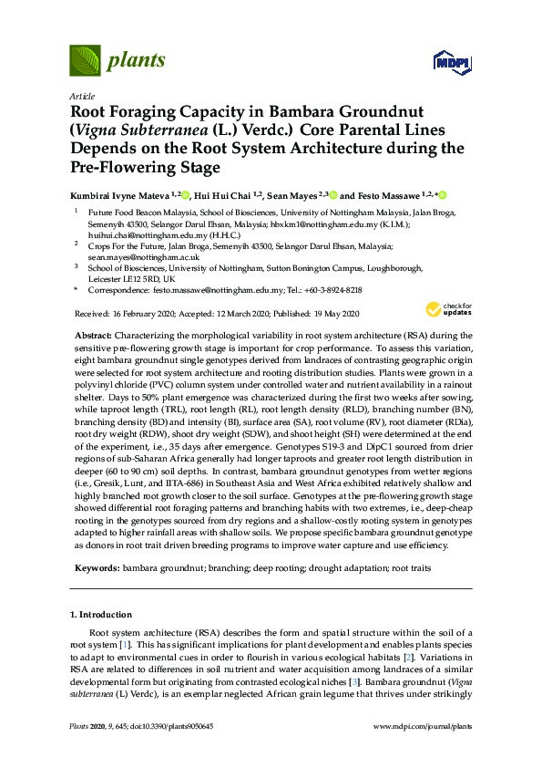 Root foraging capacity in bambara groundnut (Vigna subterranea (L.) Verdc.) core parental lines depends on the root system architecture during the pre-flowering stage Thumbnail