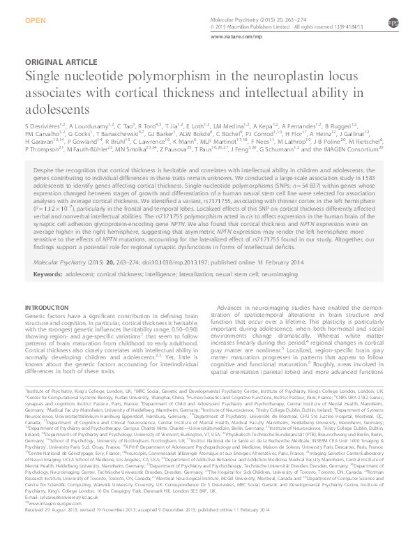 Single nucleotide polymorphism in the neuroplastin locus associates with cortical thickness and intellectual ability in adolescents Thumbnail