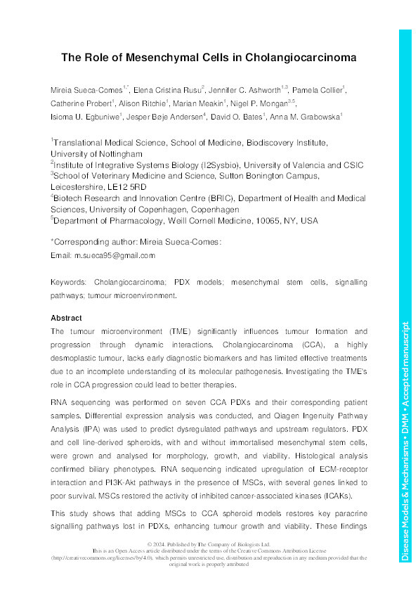 The role of mesenchymal cells in cholangiocarcinoma Thumbnail