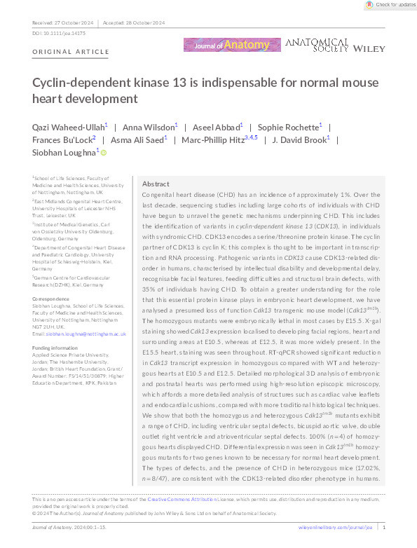 Cyclin‐dependent kinase 13 is indispensable for normal mouse heart development Thumbnail