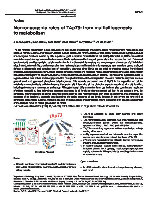 Non-oncogenic roles of TAp73: from multiciliogenesis to metabolism Thumbnail