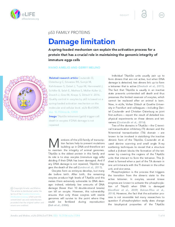 Damage limitation Thumbnail