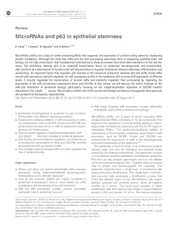 MicroRNAs and p63 in epithelial stemness Thumbnail