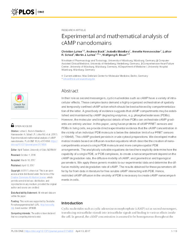 Experimental and mathematical analysis of cAMP nanodomains Thumbnail