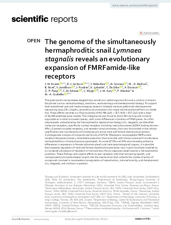 The genome of the simultaneously hermaphroditic snail Lymnaea stagnalis reveals an evolutionary expansion of FMRFamide-like receptors Thumbnail