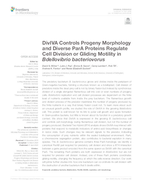 DivIVA Controls Progeny Morphology and Diverse ParA Proteins Regulate Cell Division or Gliding Motility in Bdellovibrio bacteriovorus Thumbnail