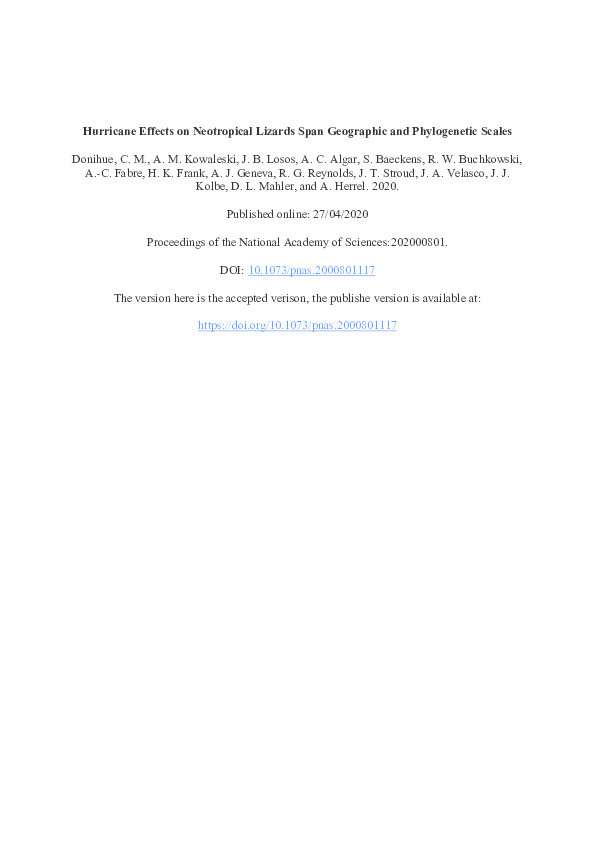 Hurricane effects on Neotropical lizards span geographic and phylogenetic scales Thumbnail