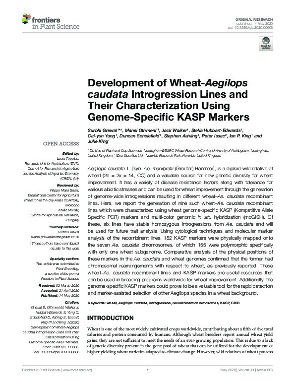 Development of Wheat-Aegilops caudata Introgression Lines and Their Characterization Using Genome-Specific KASP Markers Thumbnail