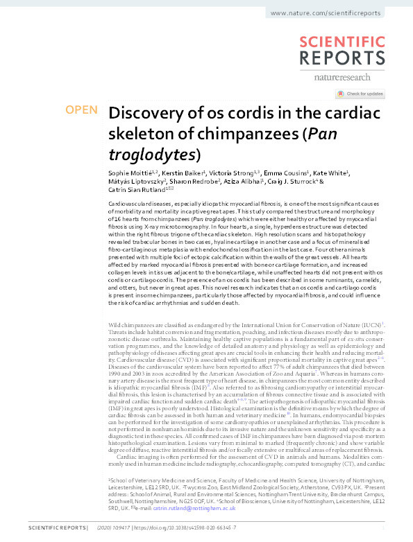 Discovery of os cordis in the cardiac skeleton of chimpanzees (Pan troglodytes) Thumbnail