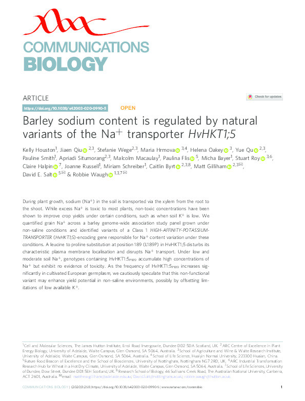 Barley sodium content is regulated by natural variants of the Na+ transporter HvHKT1;5 Thumbnail