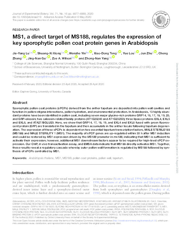 MS1, a direct target of MS188, regulates the expression of key sporophytic pollen coat protein genes in Arabidopsis Thumbnail