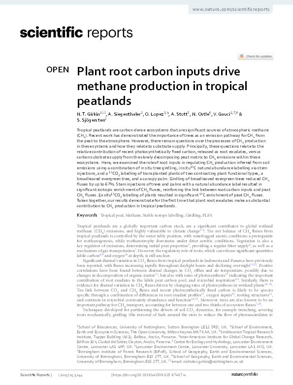 Plant root carbon inputs drive methane production in tropical peatlands Thumbnail