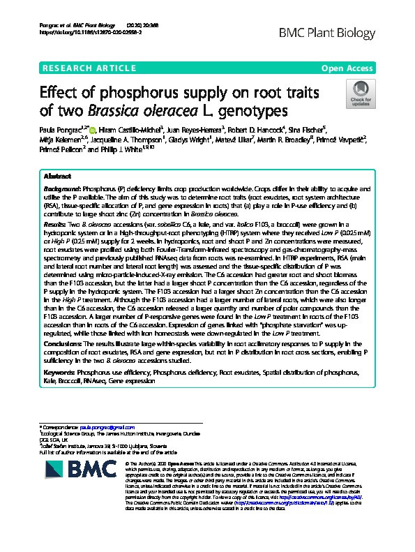 Effect of phosphorus supply on root traits of two Brassica oleracea L. genotypes Thumbnail