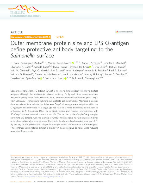 Outer membrane protein size and LPS O-antigen define protective antibody targeting to the Salmonella surface Thumbnail