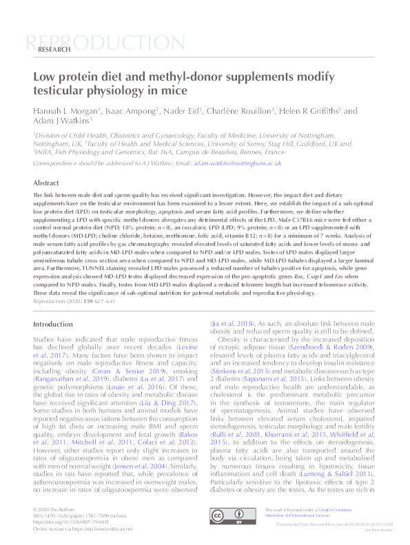 Low protein diet and methyl-donor supplements modify testicular physiology in mice Thumbnail