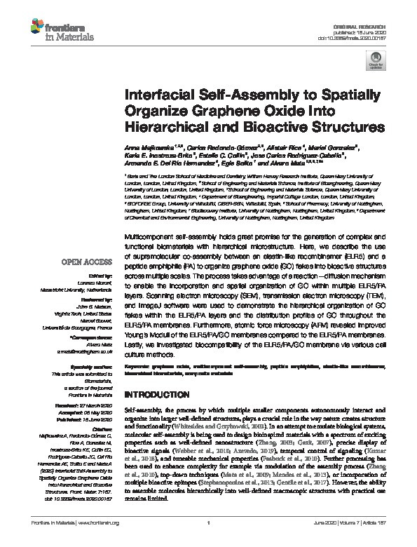 Interfacial Self-Assembly to Spatially Organize Graphene Oxide Into Hierarchical and Bioactive Structures Thumbnail