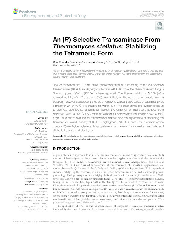 An (R)-Selective Transaminase from Thermomyces stellatus: Stabilizing the Tetrameric Form Thumbnail