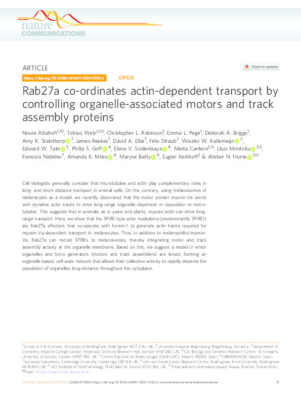 Rab27a co-ordinates actin-dependent transport by controlling organelle-associated motors and track assembly proteins Thumbnail