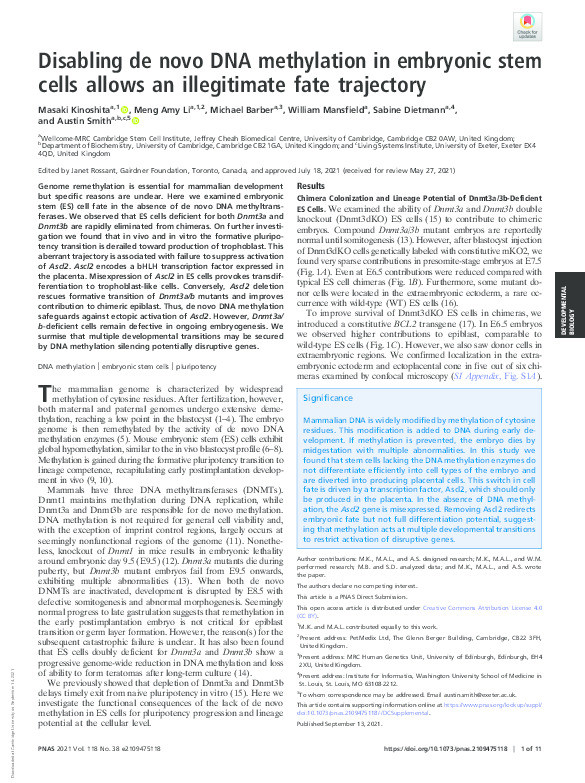 Disabling de novo DNA methylation in embryonic stem cells allows an illegitimate fate trajectory Thumbnail