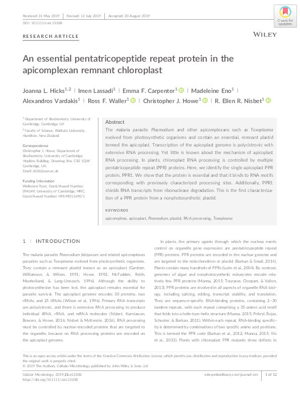An essential pentatricopeptide repeat protein in the apicomplexan remnant chloroplast Thumbnail