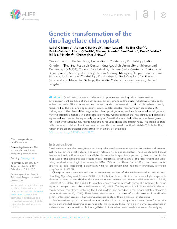 Genetic transformation of the dinoflagellate chloroplast Thumbnail