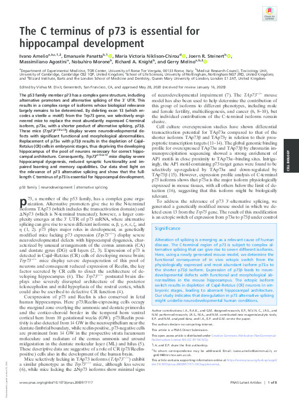 The C terminus of p73 is essential for hippocampal development Thumbnail