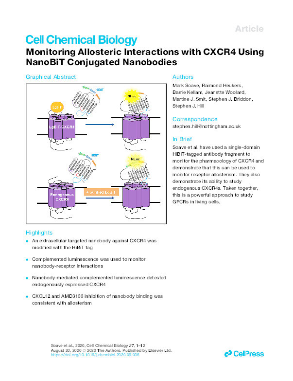 Monitoring Allosteric Interactions with CXCR4 Using NanoBiT Conjugated Nanobodies Thumbnail