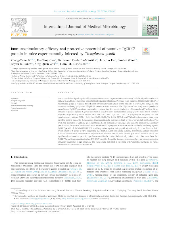 Immunostimulatory efficacy and protective potential of putative TgERK7 protein in mice experimentally infected by Toxoplasma gondii Thumbnail