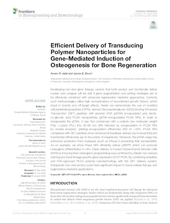 Efficient Delivery of Transducing Polymer Nanoparticles for Gene-mediated Induction of Osteogenesis for Bone Regeneration Thumbnail