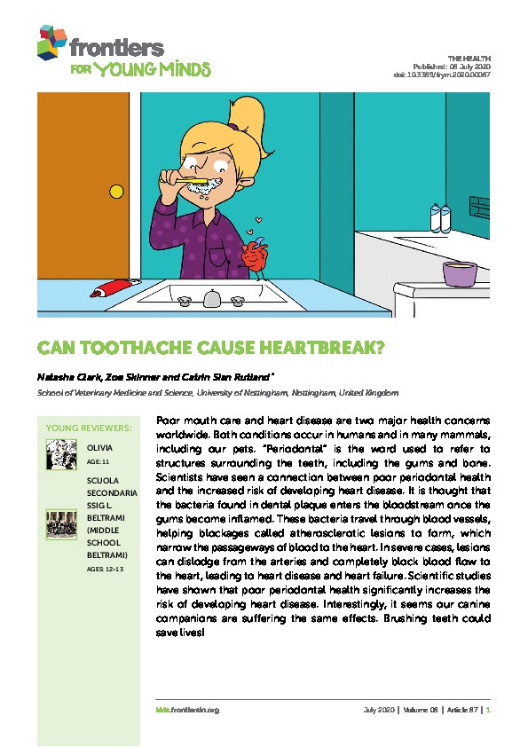 Can Toothache Cause Heartbreak? Thumbnail