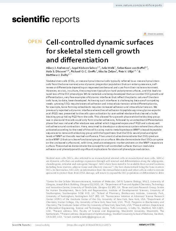 Cell-controlled dynamic surfaces for skeletal stem cell growth and differentiation Thumbnail