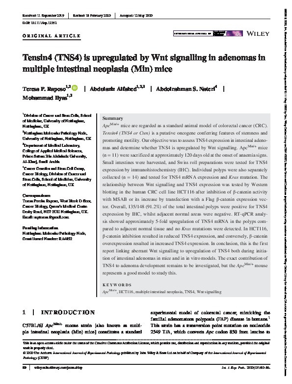 Tensin4 (TNS4) is upregulated by Wnt signalling in adenomas in multiple intestinal neoplasia (Min) mice Thumbnail