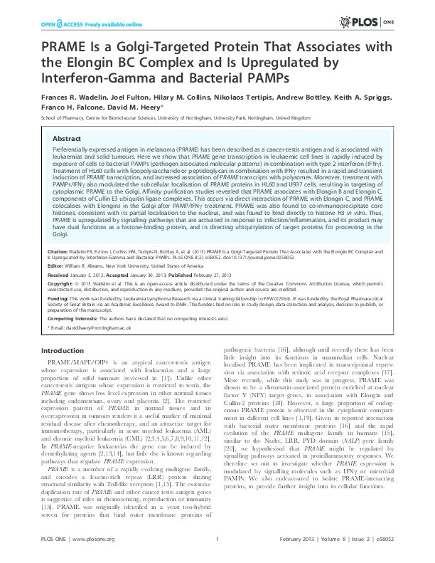 PRAME Is a Golgi-Targeted Protein That Associates with the Elongin BC Complex and Is Upregulated by Interferon-Gamma and Bacterial PAMPs Thumbnail