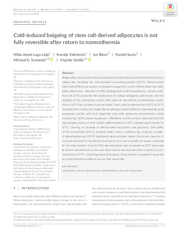 Cold-induced beigeing of stem cell-derived adipocytes is not fully reversible after return to normothermia Thumbnail