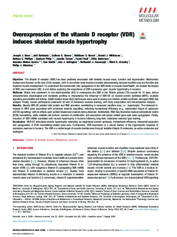 Overexpression of the vitamin D receptor (VDR) induces skeletal muscle hypertrophy Thumbnail