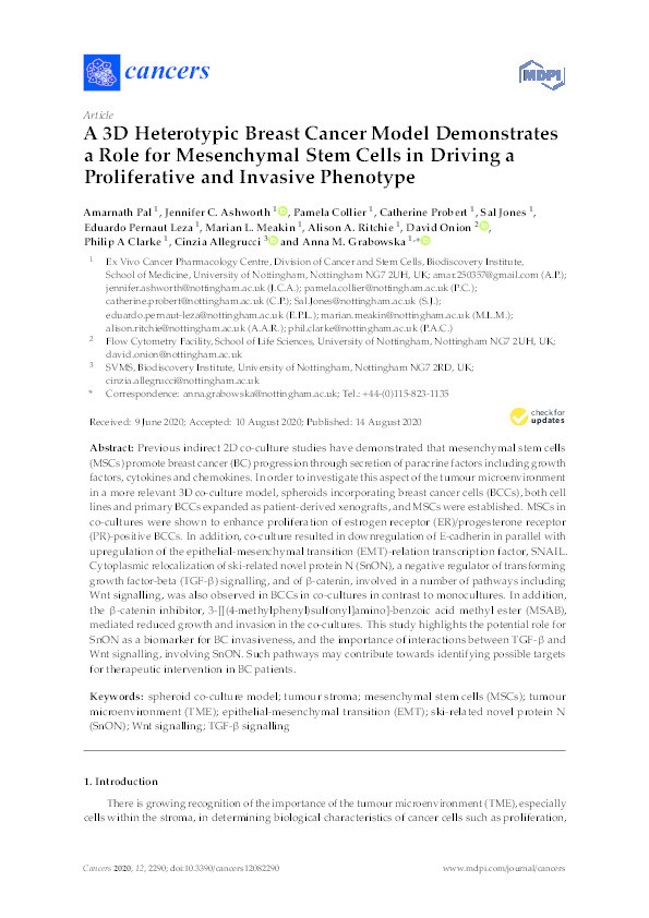 A 3D Heterotypic Breast Cancer Model Demonstrates a Role for Mesenchymal Stem Cells in Driving a Proliferative and Invasive Phenotype Thumbnail