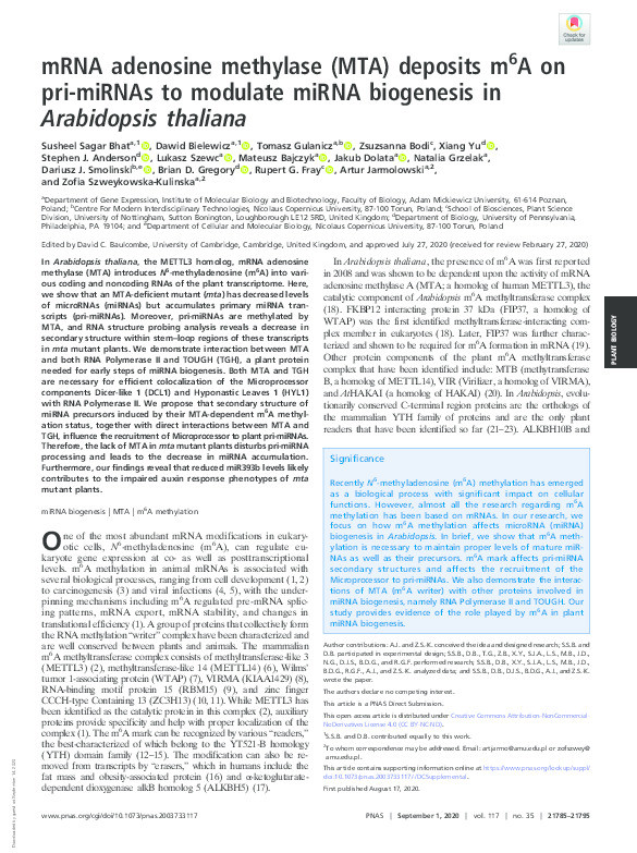 mRNA adenosine methylase (MTA) deposits m6A on pri-miRNAs to modulate miRNA biogenesis in Arabidopsis thaliana Thumbnail