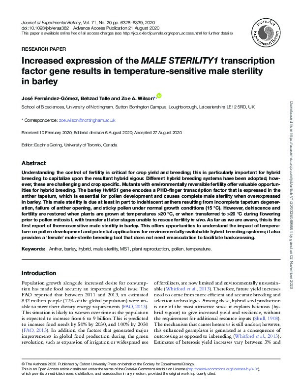 Increased expression of the HvMALE STERILITY1 Transcription Factor Results in Temperature-Sensitive Male Sterility in Barley Thumbnail