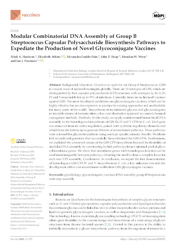 Modular Combinatorial DNA Assembly of Group B Streptococcus Capsular Polysaccharide Biosynthesis Pathways to Expediate the Production of Novel Glycoconjugate Vaccines Thumbnail
