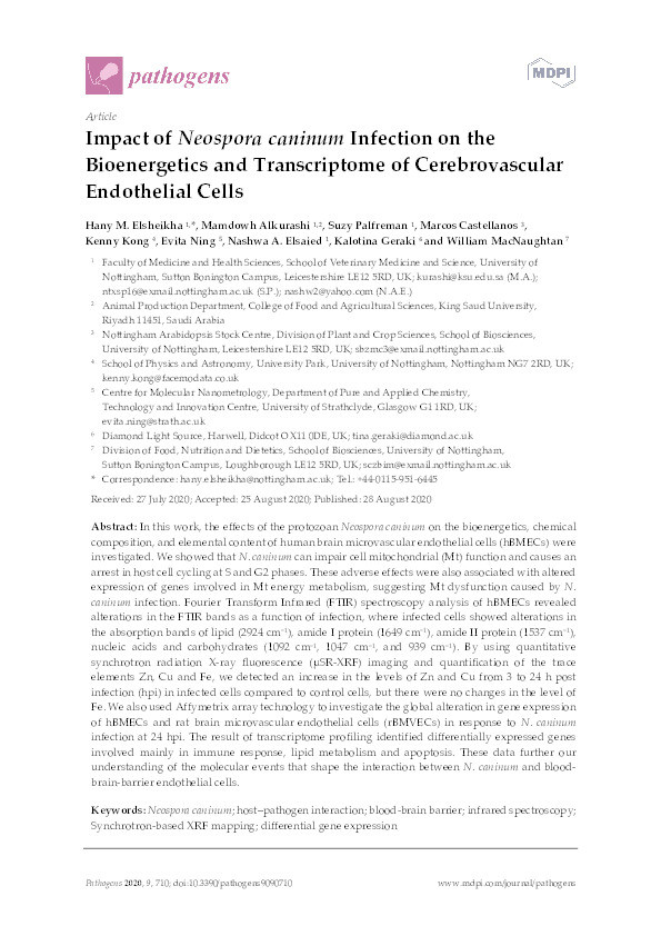 Impact of neospora caninum infection on the bioenergetics and transcriptome of cerebrovascular endothelial cells Thumbnail