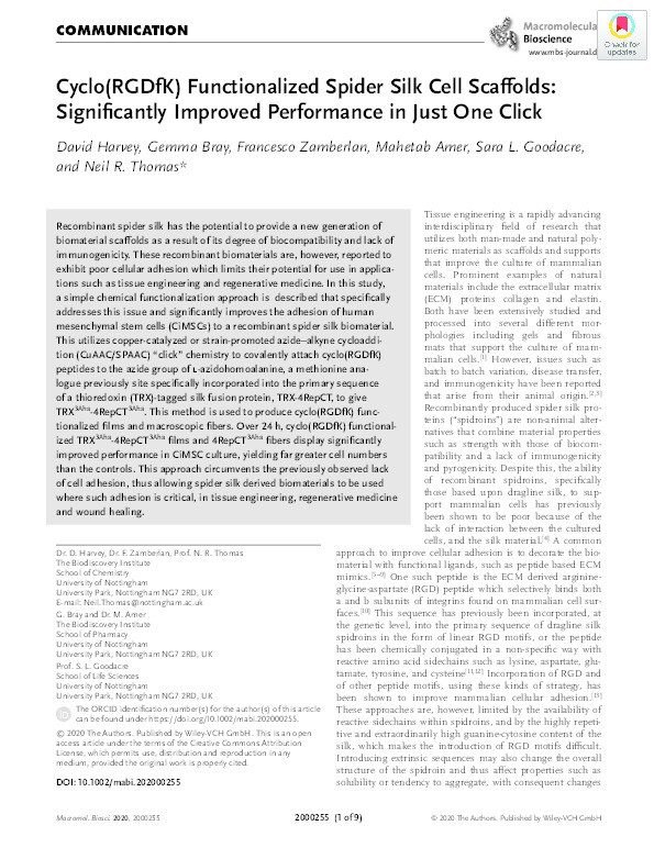Cyclo(RGDfK) Functionalized Spider Silk Cell Scaffolds: Significantly Improved Performance in Just One Click Thumbnail