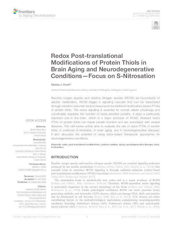 Redox Post-translational Modifications of Protein Thiols in Brain Aging and Neurodegenerative Conditions—Focus on S-Nitrosation Thumbnail