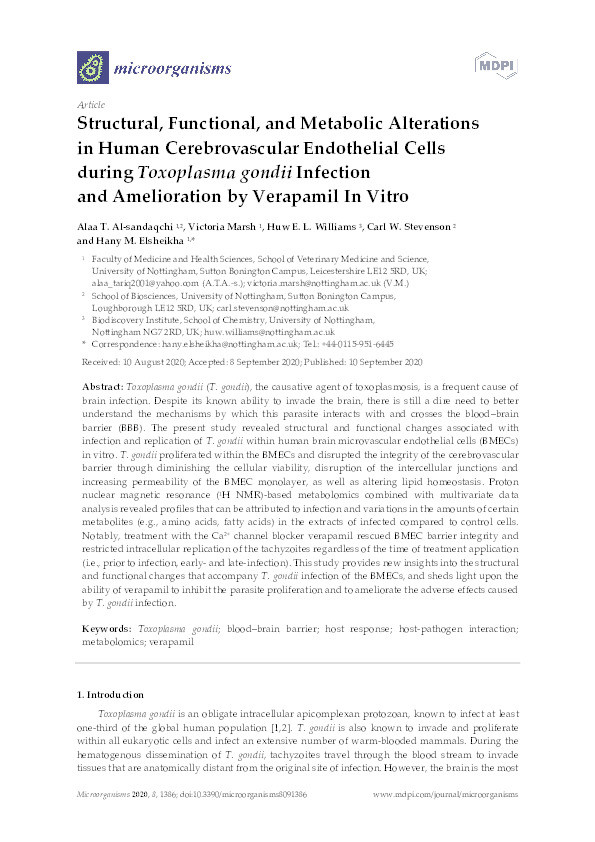 Structural, functional, and metabolic alterations in human cerebrovascular endothelial cells during toxoplasma gondii infection and amelioration by verapamil in vitro Thumbnail