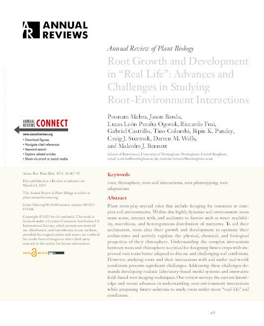 Root Growth and Development in “Real Life”: Advances and Challenges in Studying Root–Environment Interactions Thumbnail
