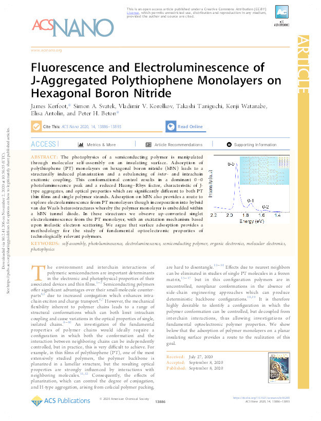 Fluorescence and Electroluminescence of J-Aggregated Polythiophene Monolayers on Hexagonal Boron Nitride Thumbnail